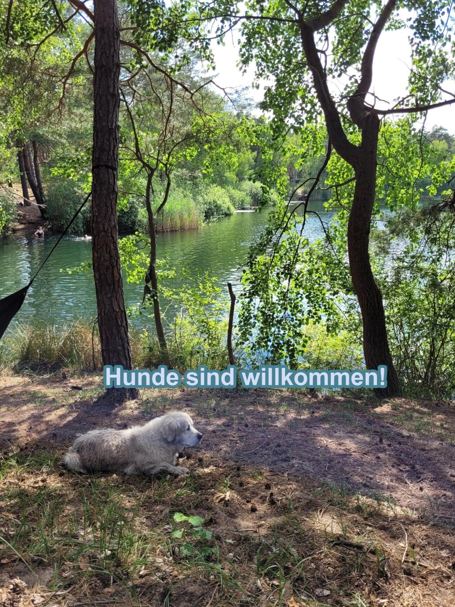 Huettendorf Fuer Euch Alleine - Gefuehrter Yachtausflug Nach Prieros Inclusive! Nur 3 Minuten Zum Badesee Fahrraeder Kostenlos Vorhanden Gross Koris Ngoại thất bức ảnh